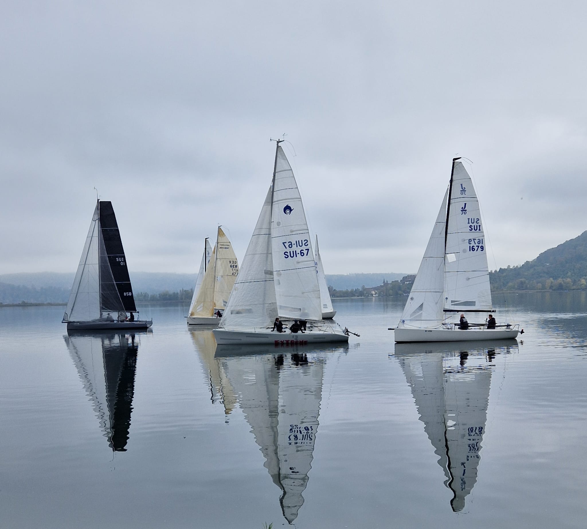 Rhubarbe remporte la Sainte-Céleste