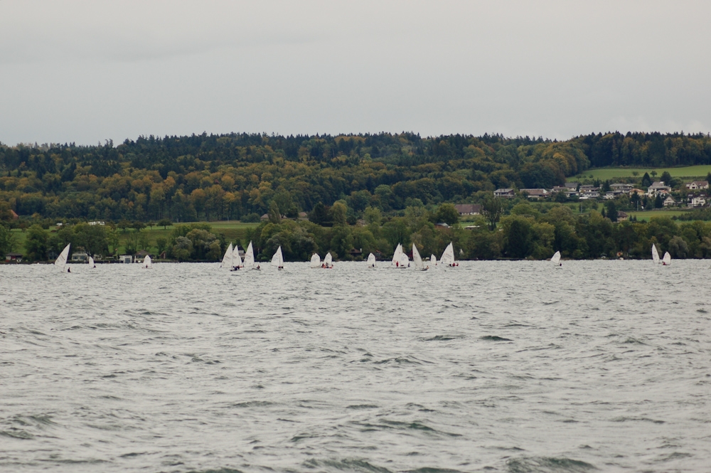 C3L Wingreis 2011