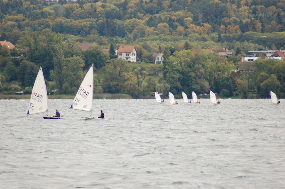C3L Wingreis 2011