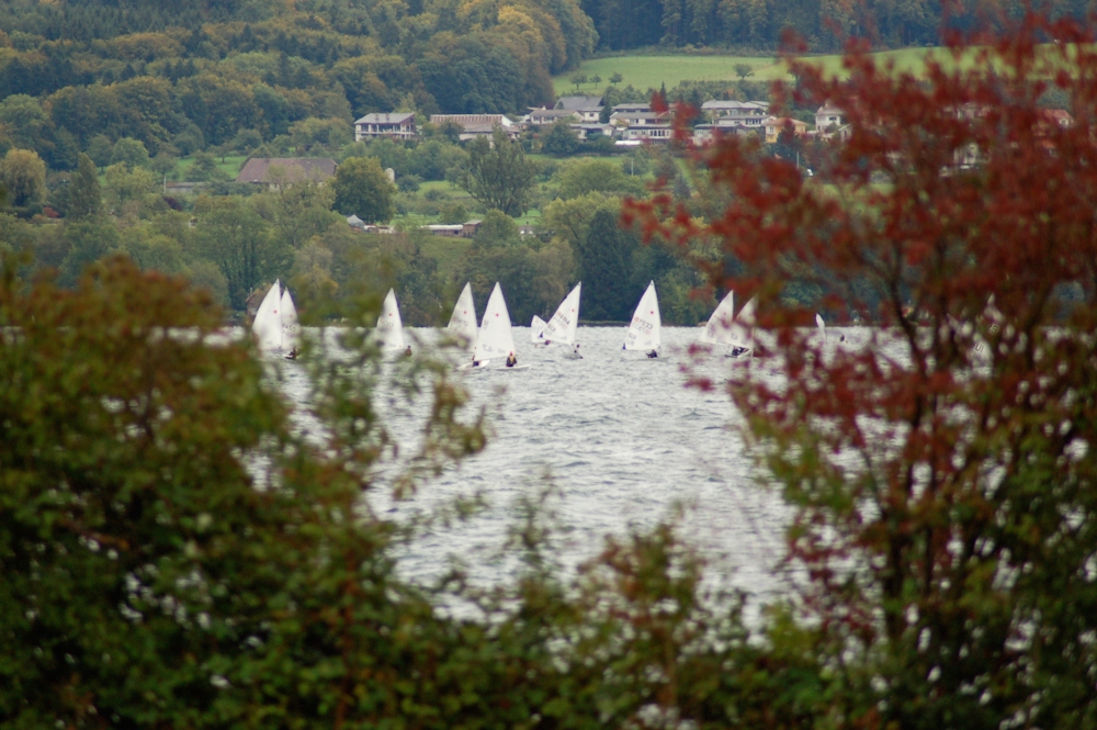 C3L Wingreis 2011