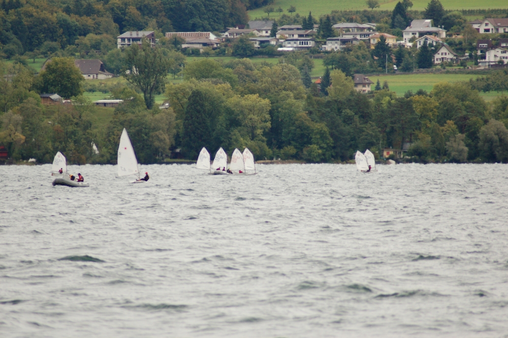 C3L Wingreis 2011