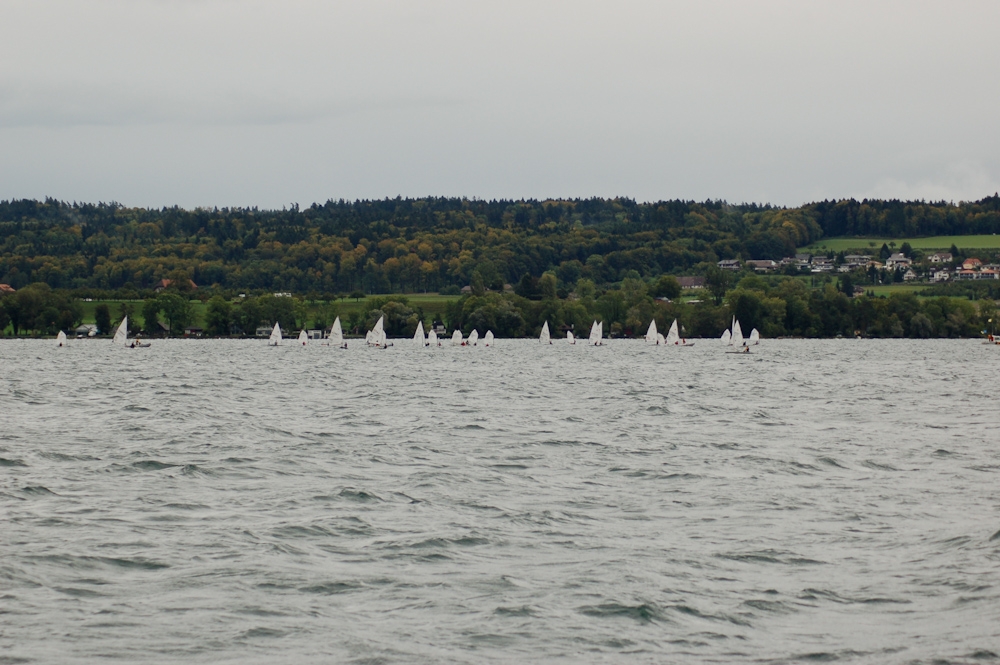 C3L Wingreis 2011