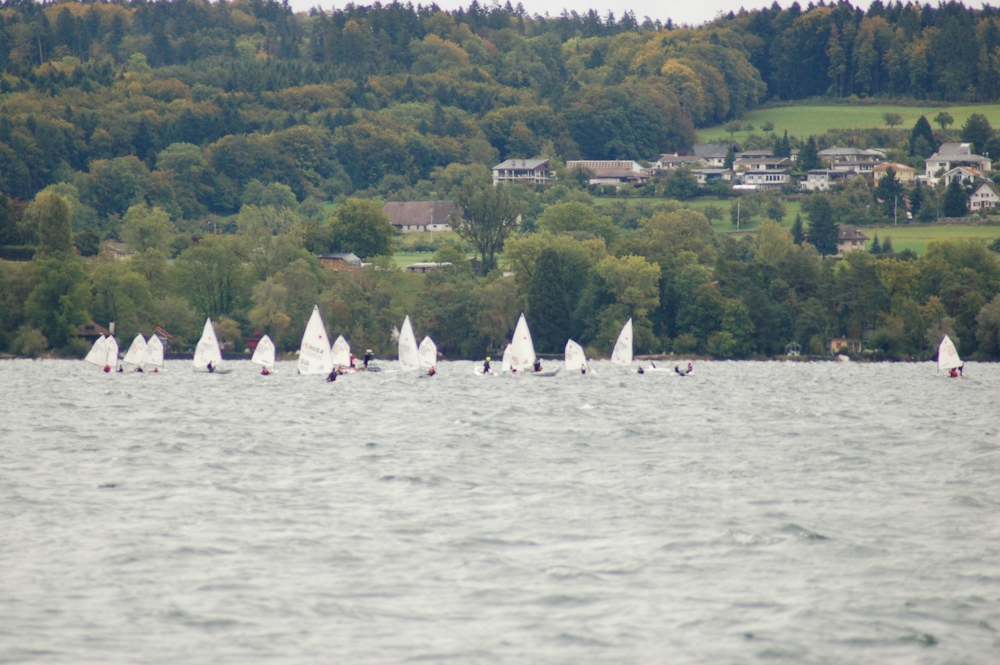 C3L Wingreis 2011
