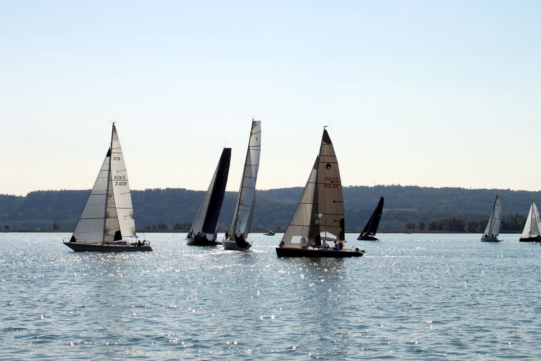 Hagneck Banks Race 2018