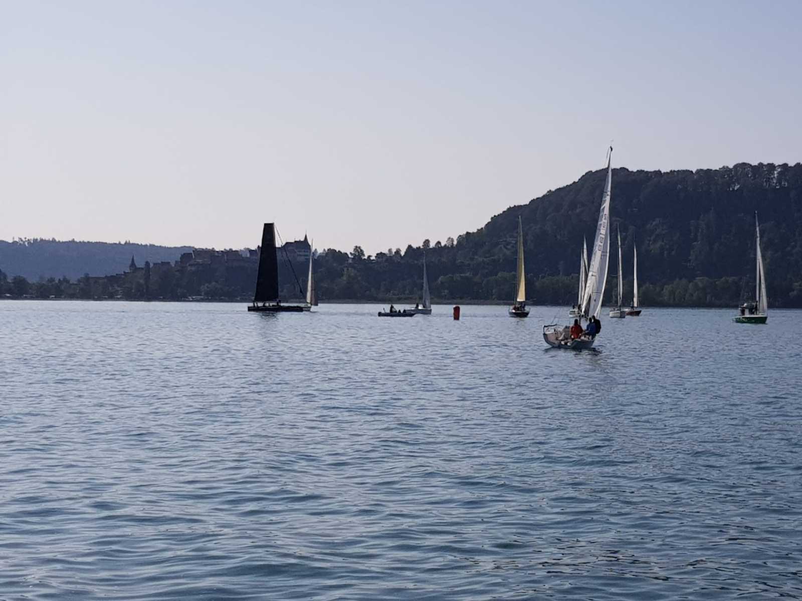 Hagneck Banks Race 2019