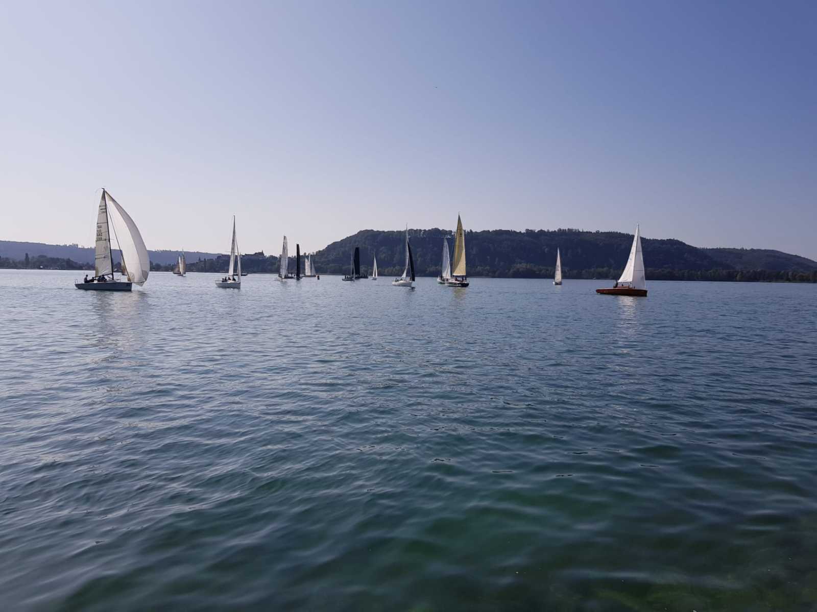 Hagneck Banks Race 2019