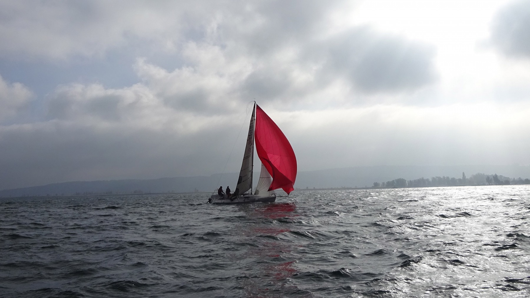 Sainte Céleste 2016