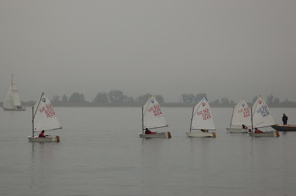 St-Céleste 2011