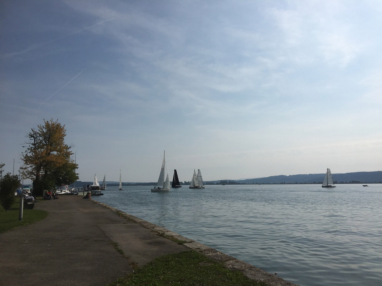 Triangulaire 2018