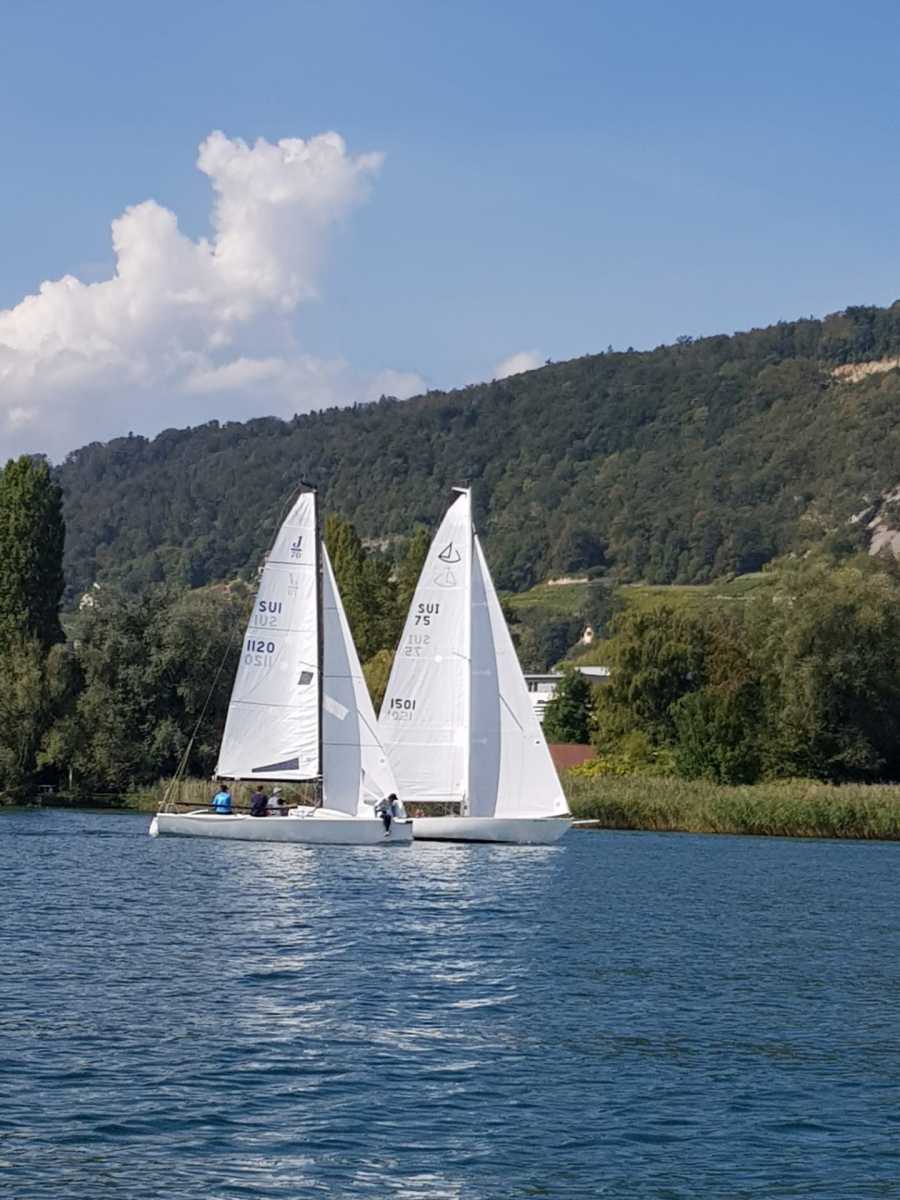 Triangulaire 2019
