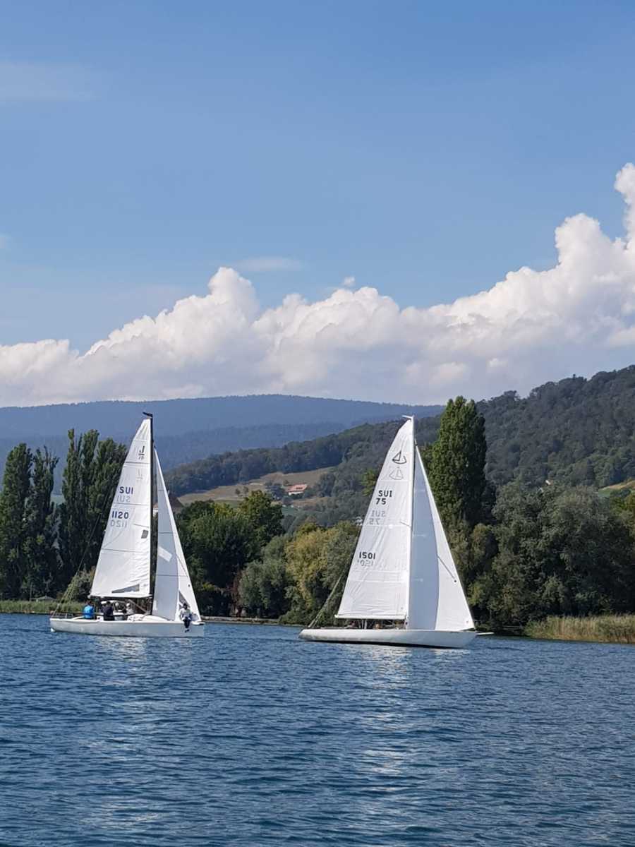 Triangulaire 2019