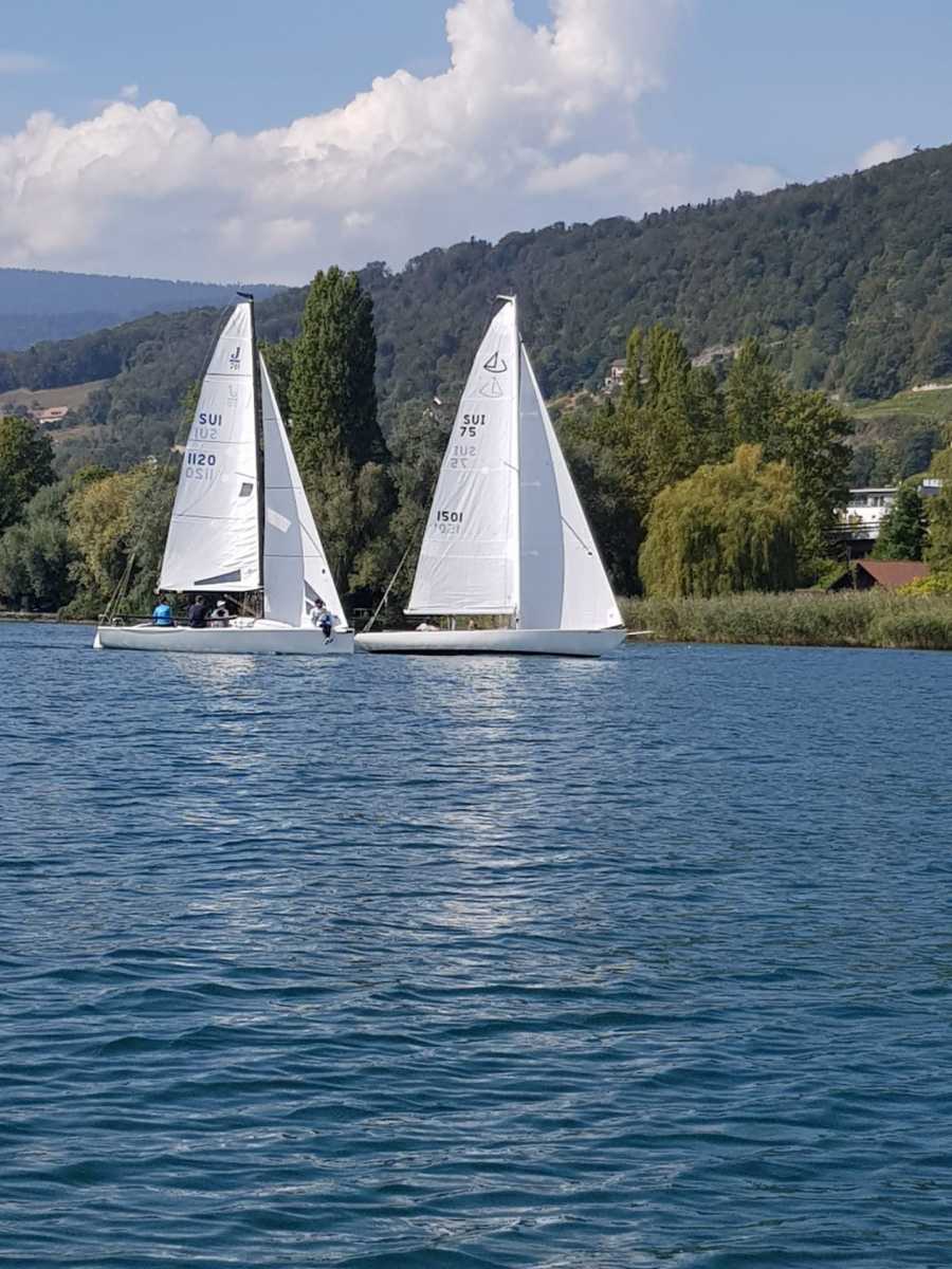 Triangulaire 2019