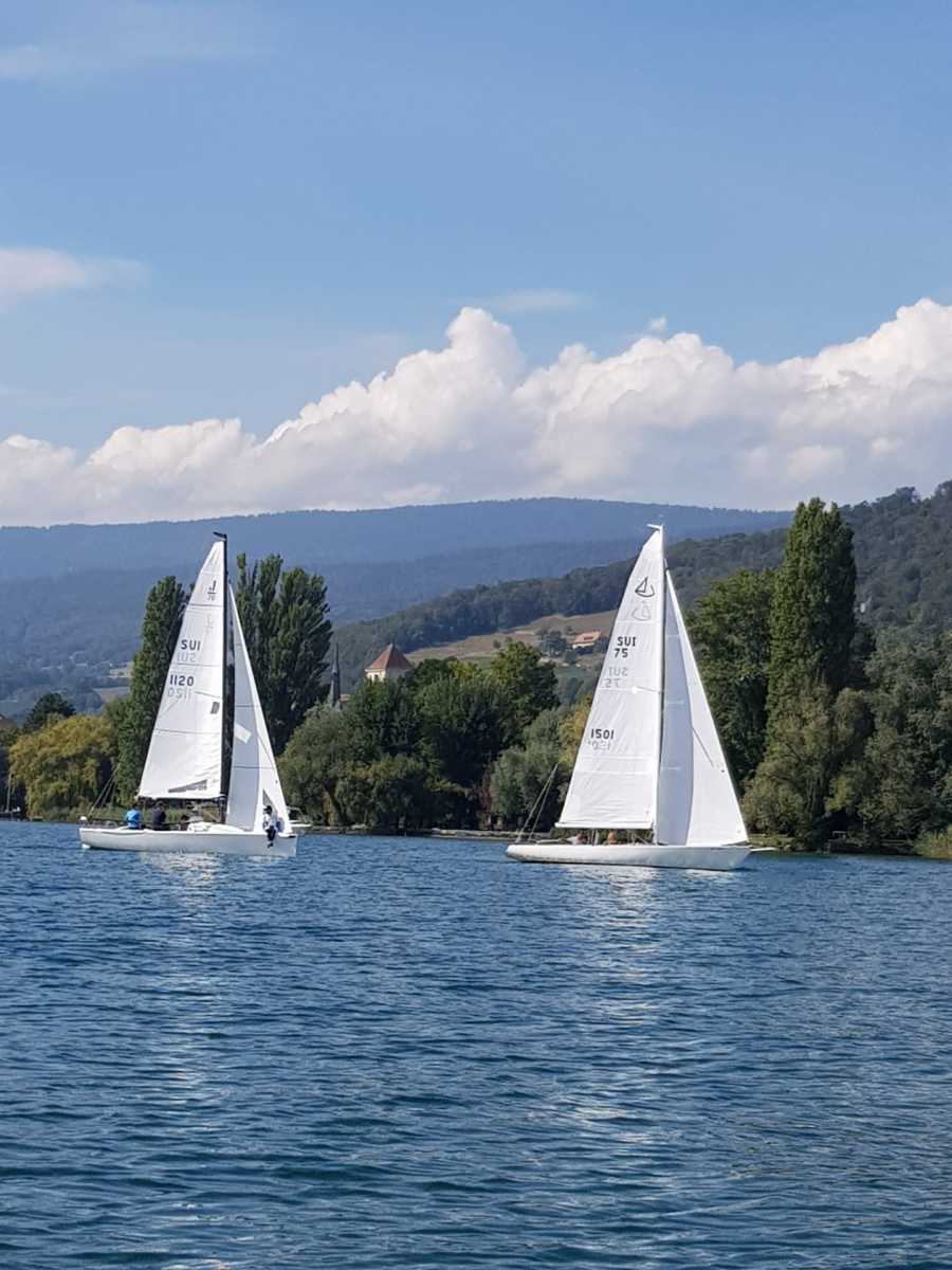 Triangulaire 2019