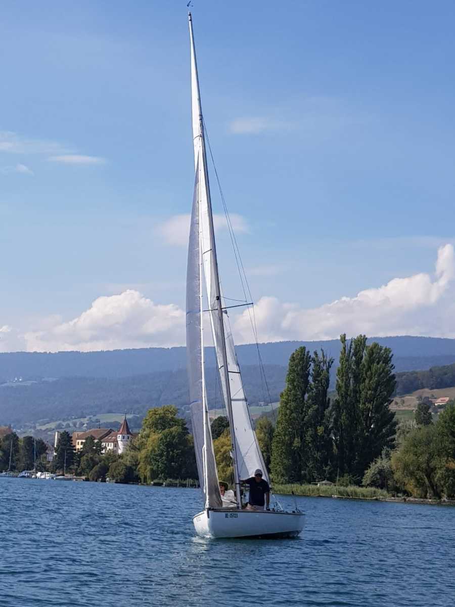 Triangulaire 2019