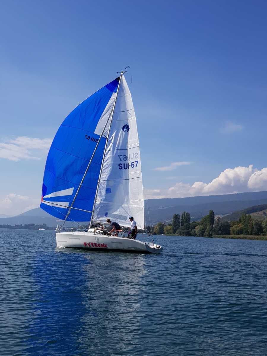 Triangulaire 2019