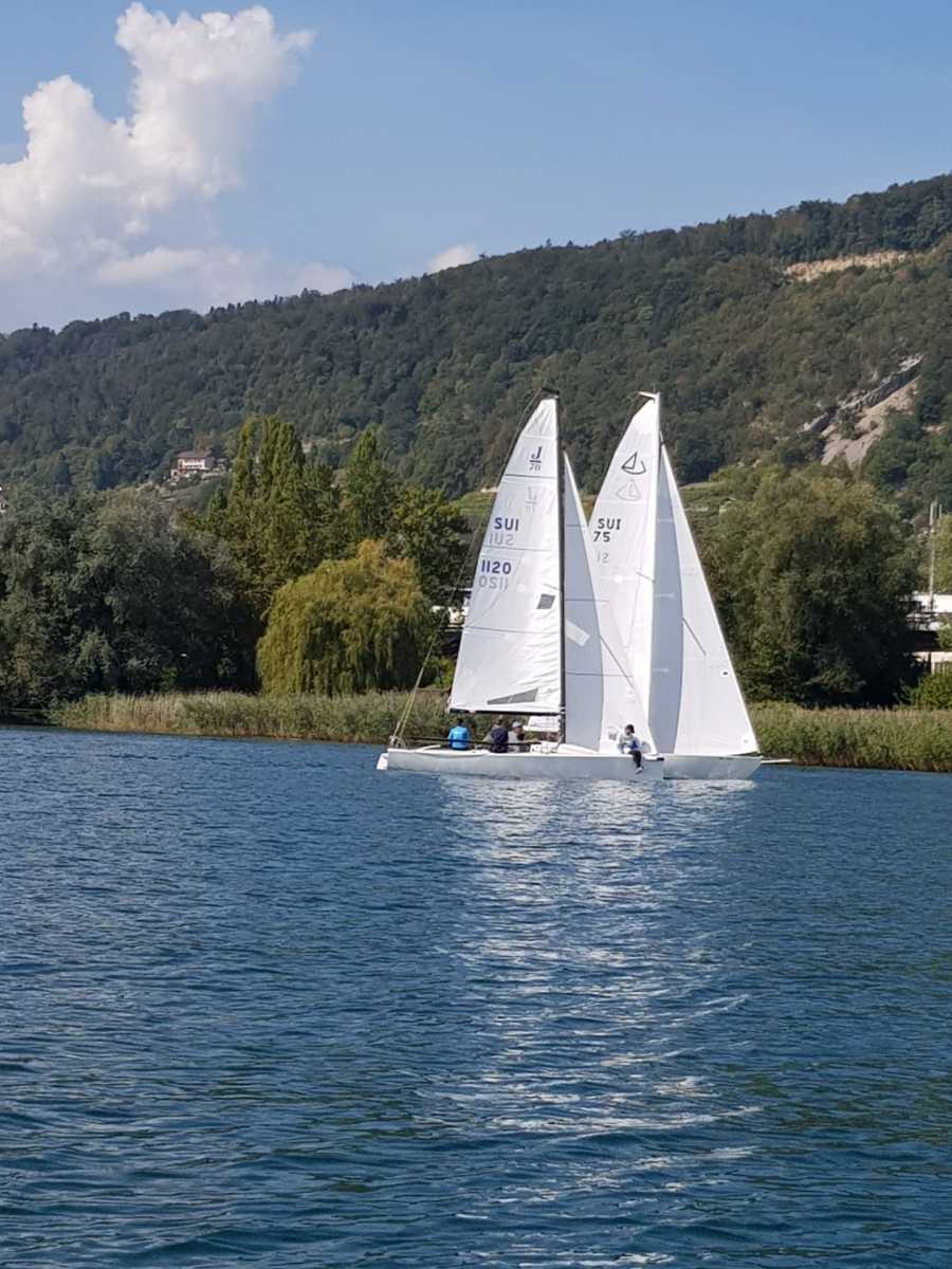 Triangulaire 2019