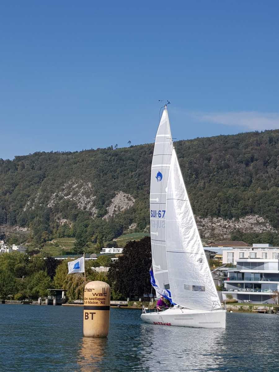 Triangulaire 2019
