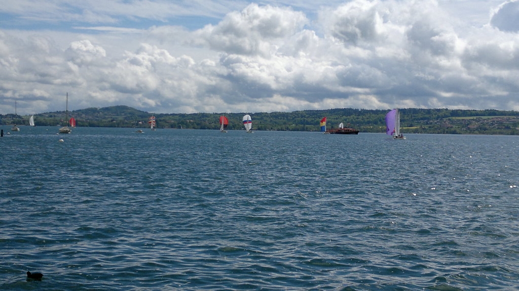 Bol d'Or 2012