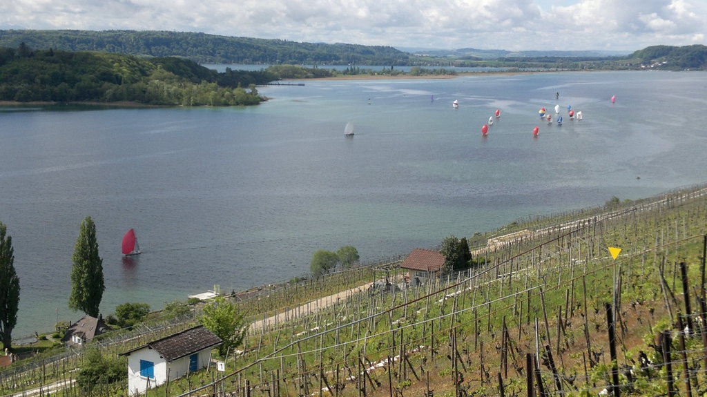 Bol d'Or 2012