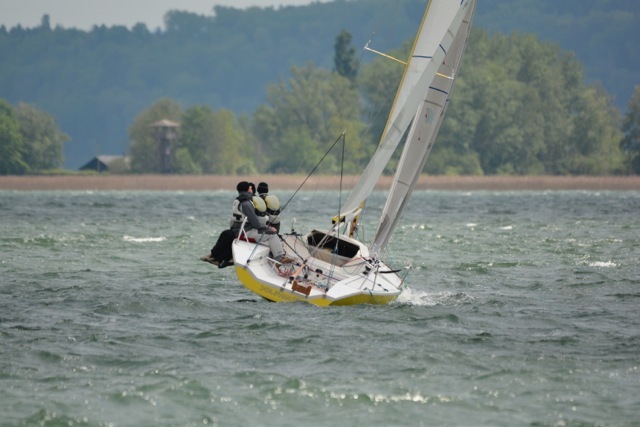 Tribordaise 2014